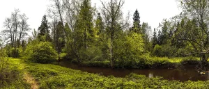 Парк