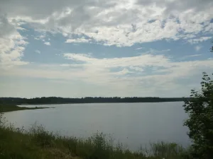 Бородаевское