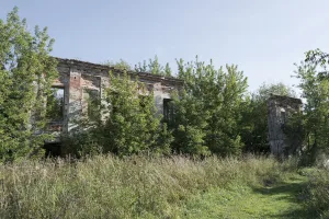 Супоньевский дворец (руины) (Углич)