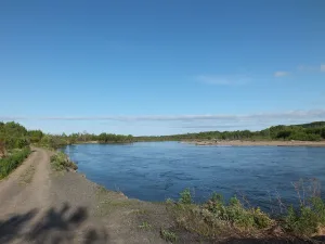 Гур
