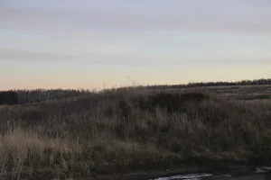 Городище «Городищенское» (Городищи)