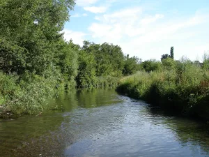 Ливенка