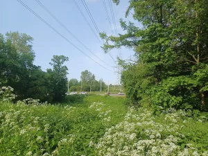 Природные ландшафты