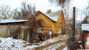 жилой дом с сараем (Буханцева, 1)