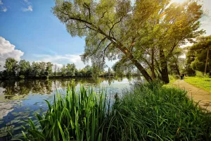 Пруды (два) (Архангельское)