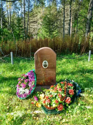 Могила комбата И.И.Криницына (Питкярантское г.п.)