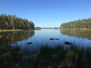 Кинаспуоли