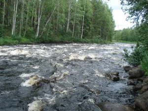 Воньга