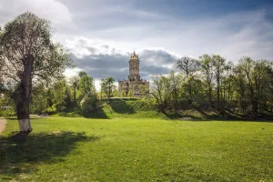 Певческое поле (Дубровицы)