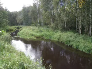 Большая Ушма