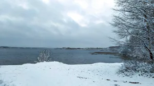 Смердье
