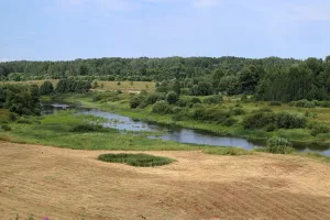 Сороть