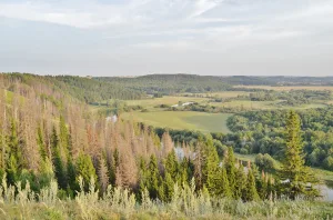 Уржумка