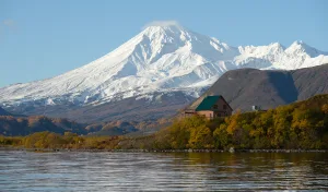 Камбальный