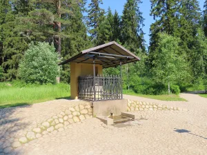 Нарцисс (источник)