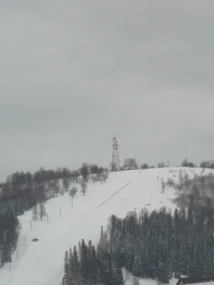 Лысая гора