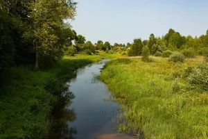 Гдовка