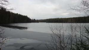 Длинное