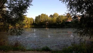 Пруд (Бронницы)