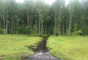 Возрица