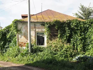 Хозпостройка (Суздаль)