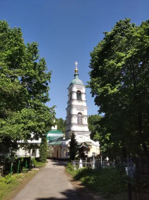 Старое городское (Князь-Владимирское) кладбище (Владимир)