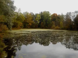 Парк (37 га) (Дружноселье)
