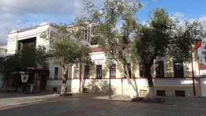 Городская усадьба В.В. Чистозвонова (Оренбург)