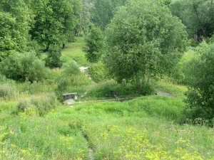 Сад (Красное Село)