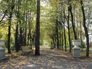 Парк (Сестрорецк)
