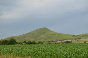 Золотой Курган