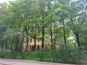 Корпус СВД (Раменки)