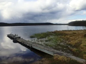 Мяйнтагайне