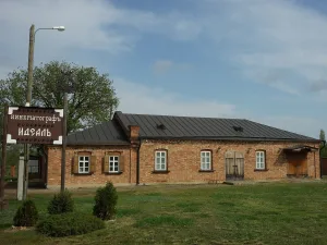 Каргинский кинематограф «Идеалъ»