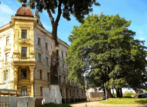 Городская усадьба В. Хакмана (Выборг)