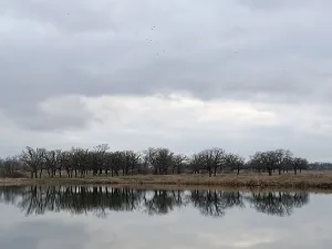 Башанта