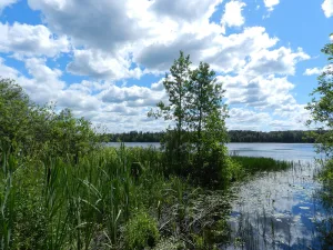 Букино