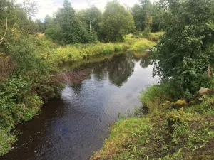 Шелтозерка