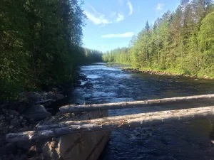 Тарасйоки