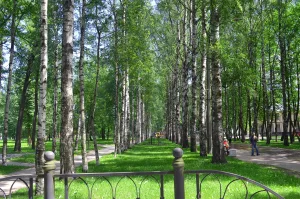 Сад (Павловск)
