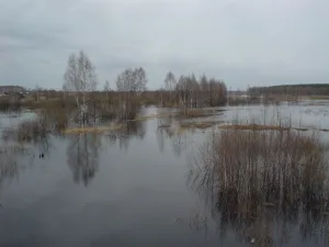 Цна