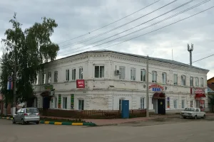 Дом Зельина (Ардатов)