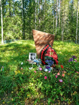 Братская могила советских воинов, погибших в борьбе с фашистскими захватчиками (Питкярантское г.п.)