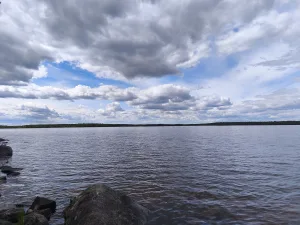 Новое (озеро, Карелия)