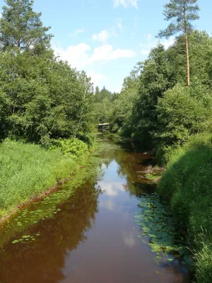 Ниша