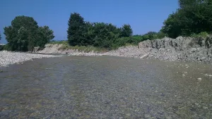 Агой