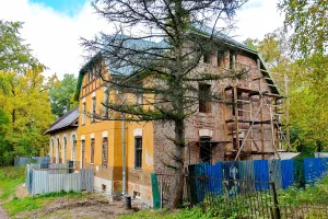 Павловская электрическая станция с двумя службами и оградой (Павловск)