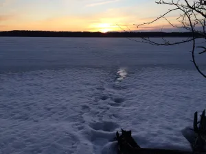 Чикша