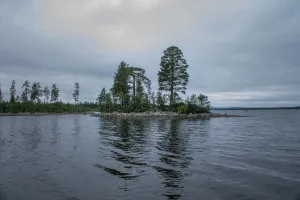 Нижнее Чалмозеро