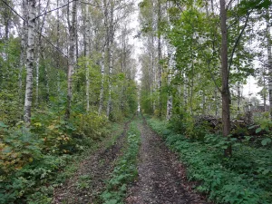 Сад (Красное Село)